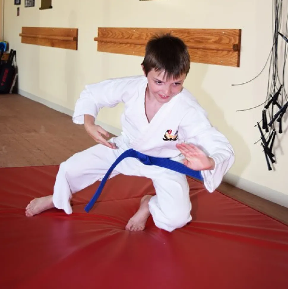 Training Crash Mat Bi-Fold 5x10 Ft. x 4 Inch