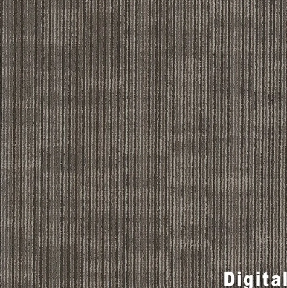 Trinity Commercial Carpet Plank .22 Inch x 18x36 Inches 10 per Carton