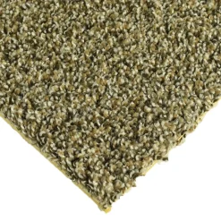 Walk in the Park Peel and Stick Carpet Tiles 3/4 Inch x 18x18 Inches 10 Per Carton