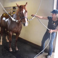 Washbay Button Top Rubber Mats 1/2 Inch 12x16 Ft Kit