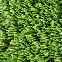 ZeroLawn Classic Artificial Grass Turf 1-1/2 Inch x 15 Ft. Wide per SF