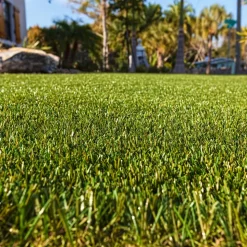 ZeroLawn Classic Artificial Grass Turf 1-1/2 Inch x 15 Ft. Wide per SF